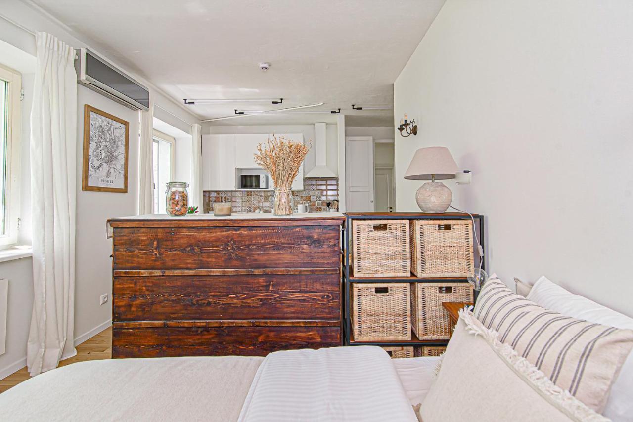 Cozy Studio In The Heart Of Vilnius Old Town VNO Exterior foto